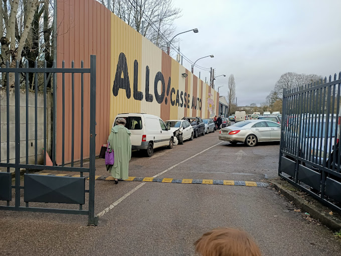 Aperçu des activités de la casse automobile ALLO CASSE AUTO située à BOIS-DE-HAYE (54840)